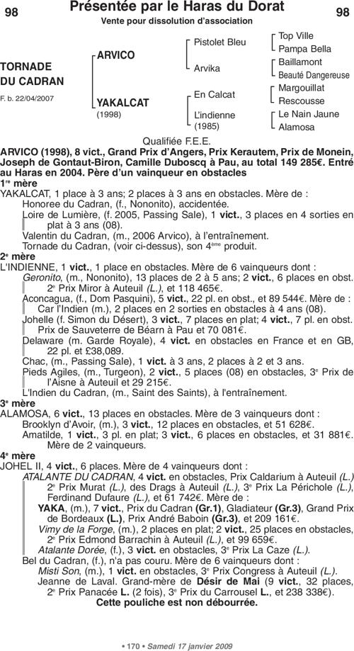 Miniature pedigree